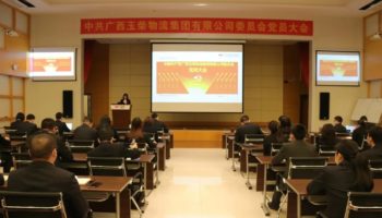 玉柴物流集團黨委完成換屆選舉，夯實黨建基礎